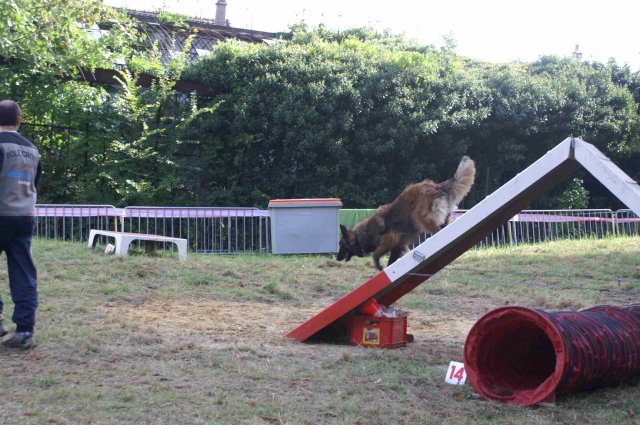 foire-haricots 2011-09-17et18